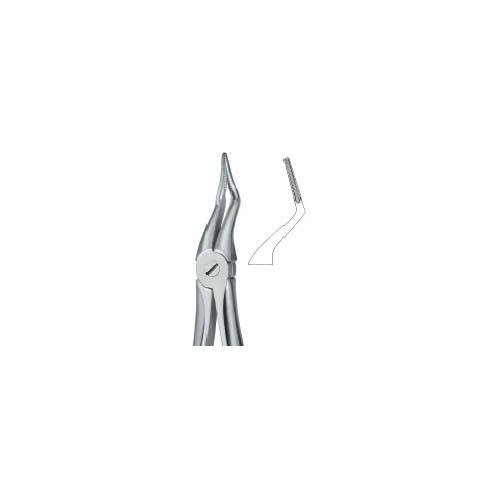 Tooth Ext Forceps